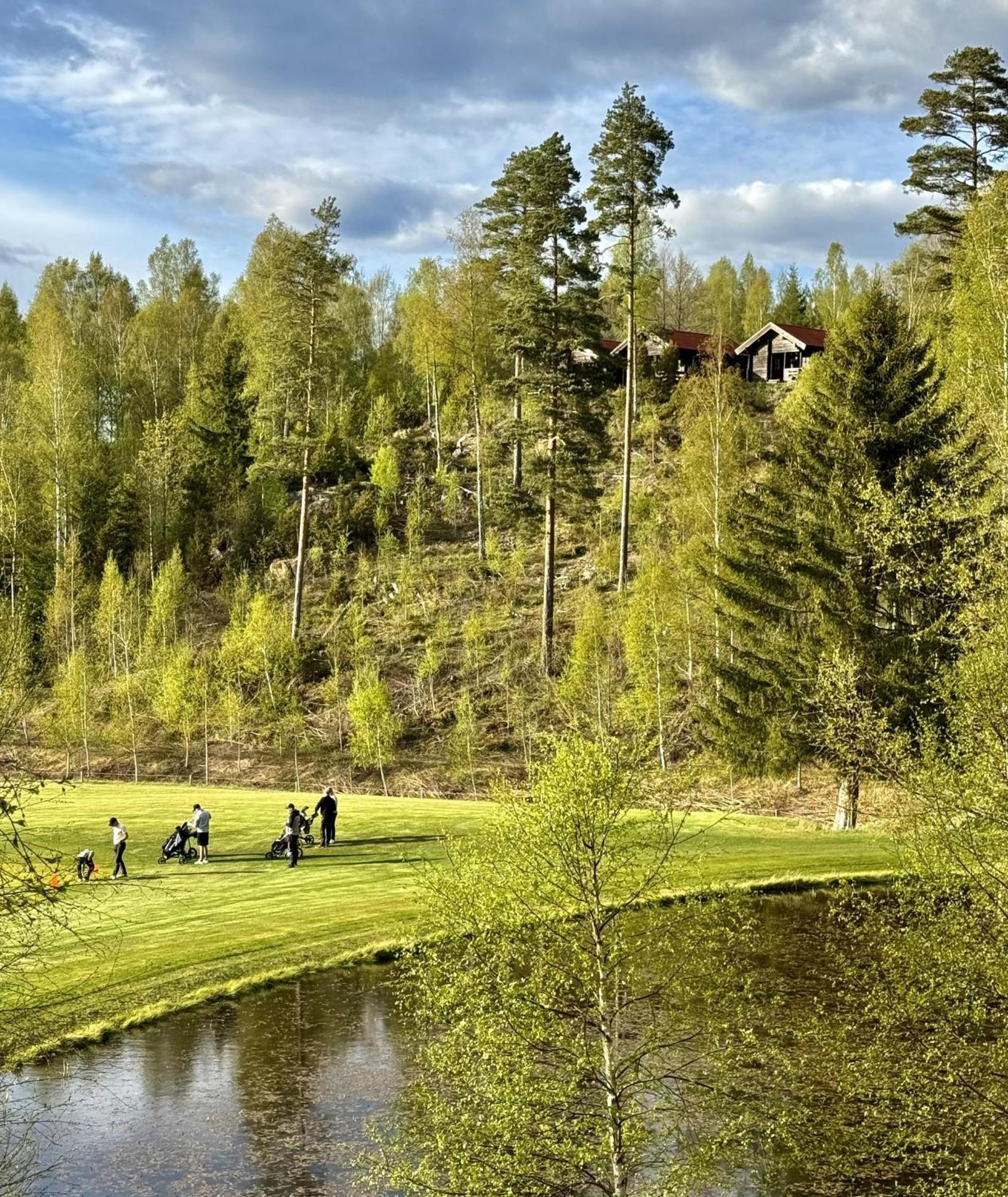 Noretjaerns Stugby Årjäng Exterior foto